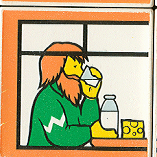 Duplo, Tile 2 x 2 x 1 with Home Mosaic Picture 11 Pattern (Set 9221)