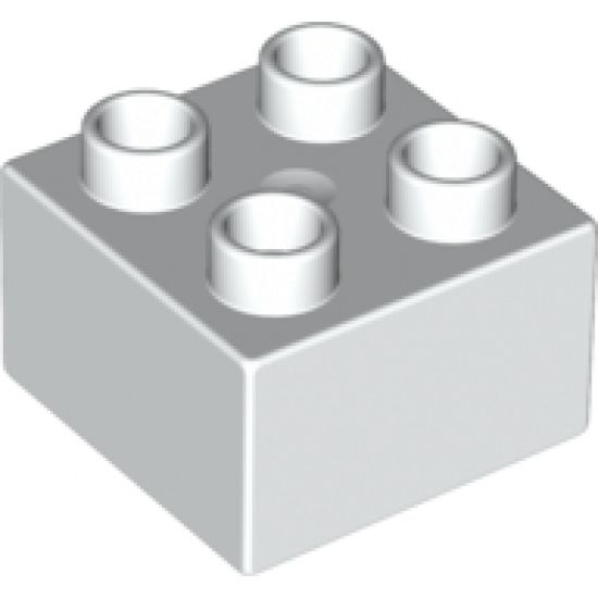 Duplo, Brick 2 x 2 with Zoo Time Mosaic Picture 16 Pattern