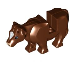 Animal, Body Part Cow Middle with Pink Muzzle and White Spot on Head Pattern