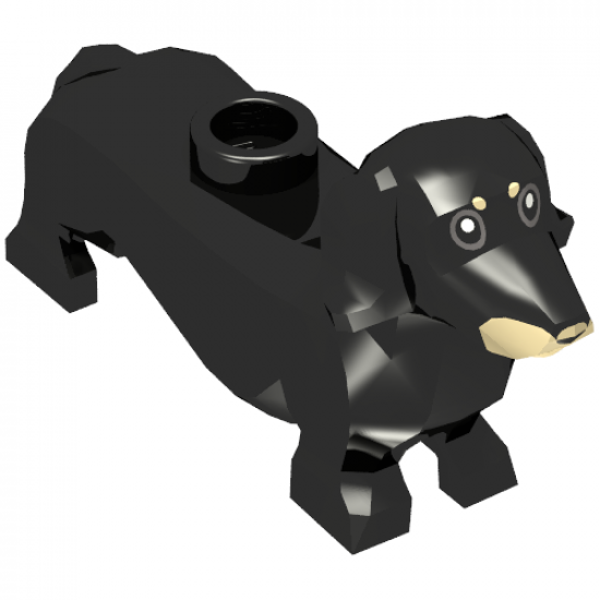 Dog, Dachshund with Black Eyes and Nose and Tan Markings Pattern (BAM)