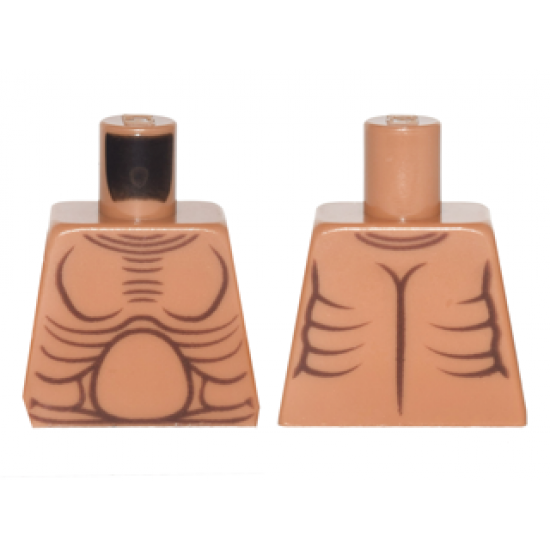 Torso Bare Chest with Muscles Outline and Round Stomach Pattern