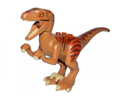 Animal, Dinosaur Raptor / Velociraptor with Dark Orange Back