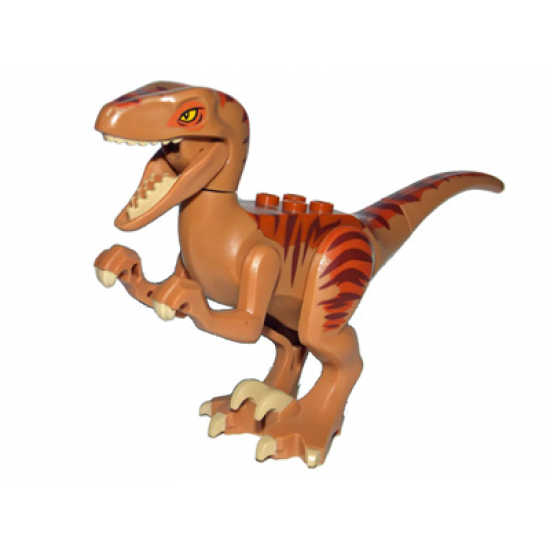 Animal, Dinosaur Raptor / Velociraptor with Dark Orange Back