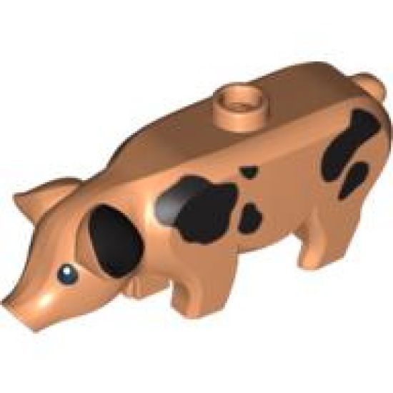 Pig with Black Eyes and Spots and White Pupils Pattern