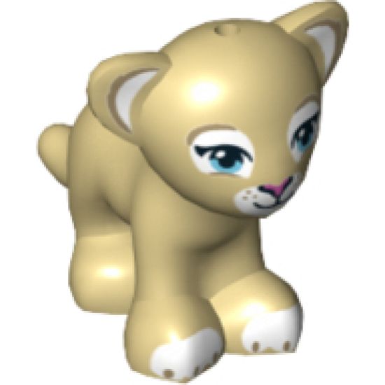 Lion / Tiger, Friends / Elves, Baby Cub with Medium Azure Eyes, Dark Pink Nose and White Paws Pattern