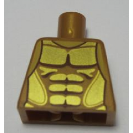 Torso Armor with Gold Plated Muscles Outline Pattern (Flying Warrior)