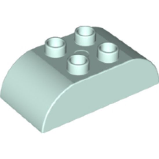 Duplo, Brick 2 x 4 Curved Top