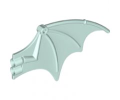 Animal, Body Part Dragon Wing 13 x 8