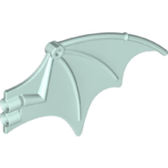 Animal, Body Part Dragon Wing 13 x 8