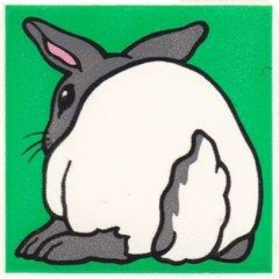 Duplo, Tile 2 x 2 x 1 with Rabbit Mosaic Picture 12 Pattern (Set 1014)