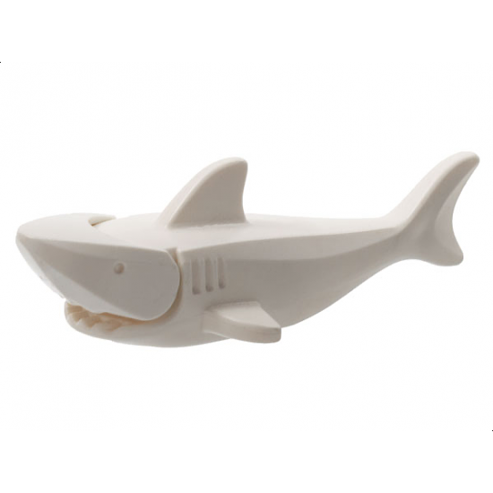 Shark with Gills