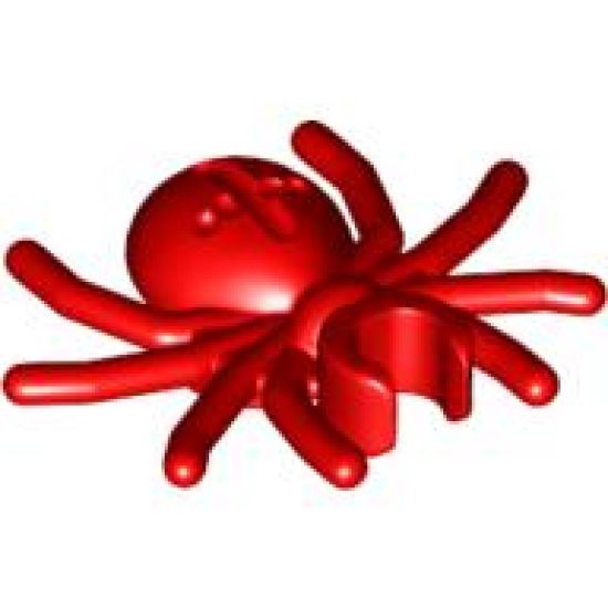 Spider with Round Abdomen and Clip