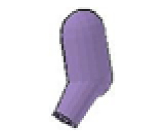 Arm, Left