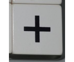Duplo, Tile 2 x 2 x 1 with Black Plus Sign (+) Pattern