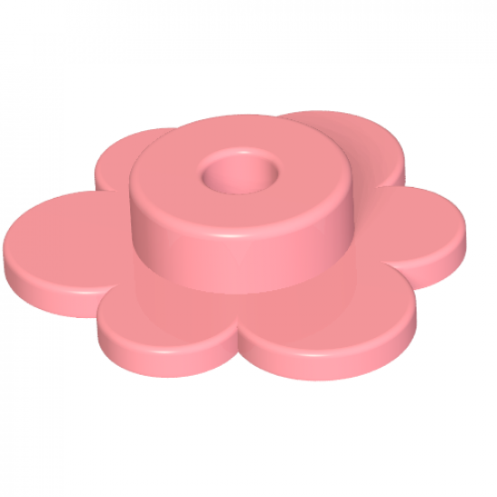 Plant Flower Small