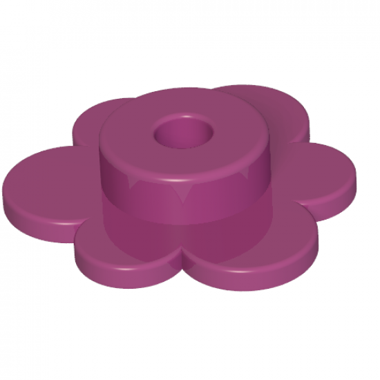 Plant Flower Small