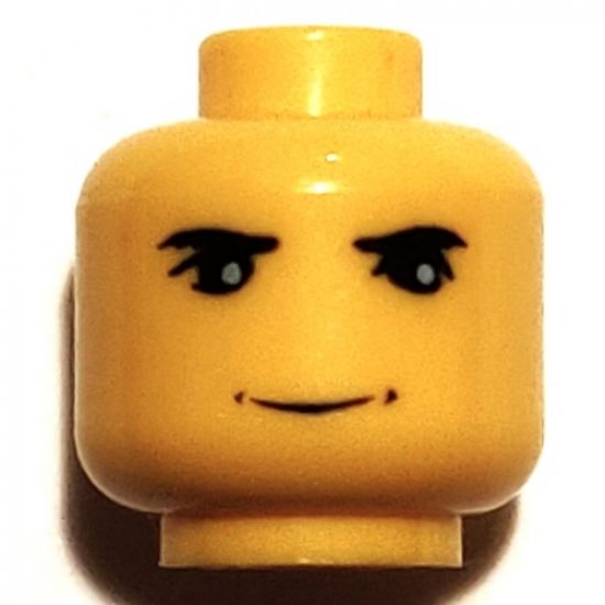 Minifigure, Head Male HP Hagrid Pattern - Blocked Open Stud