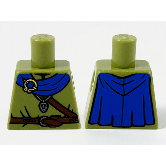 Torso Shirt, Blue Cape, Gold Brooch, Silver Pendant and Dark Brown Belts Pattern