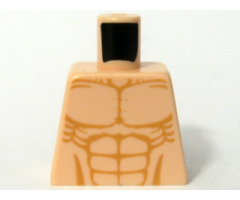 Torso Bare Chest with Muscles Outline Detailed Pattern
