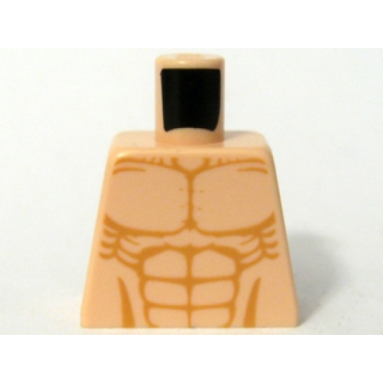 Torso Bare Chest with Muscles Outline Detailed Pattern