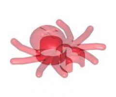 Spider with Round Abdomen and Clip