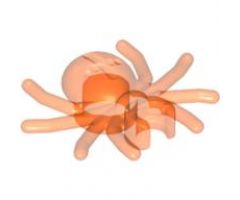 Spider with Round Abdomen and Clip