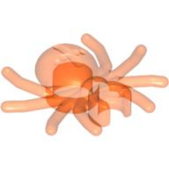 Spider with Round Abdomen and Clip
