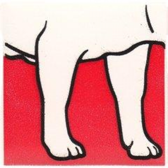 Duplo, Tile 2 x 2 x 1 with Dog Mosaic Picture 17 Pattern (Set 1078)