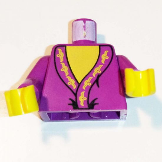 Torso Harry Potter Dumbledore Pattern / Purple Arms / Yellow Hands