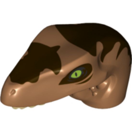 Animal, Body Part Dinosaur Head Raptor with Pin Hole, Tan Teeth and Dark Brown Markings Pattern