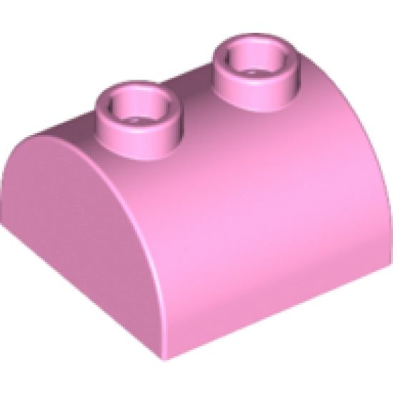 Slope, Curved 2 x 2 x 1 Double with Two Studs
