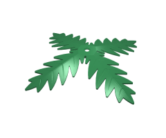 Plant, Tree Palm Leaf 4