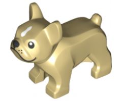 Dog, French Bulldog with Black Eyes, Nose, Mouth and Whiskers and White Spot on Forehead Pattern