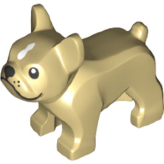 Dog, French Bulldog with Black Eyes, Nose, Mouth and Whiskers and White Spot on Forehead Pattern