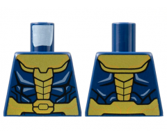 Torso Armor with Gold Trim Pattern