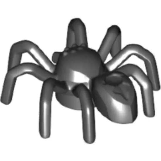 Spider with Elongated Abdomen