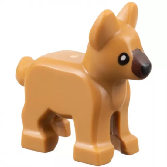 Dog, Alsatian / German Shepherd, Puppy with Dark Brown Muzzle, Black Eyes and Nose Pattern