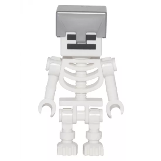 Skeleton with Cube Skull - Flat Silver Helmet