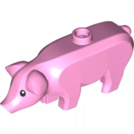 Pig with Black Eyes and White Pupils Pattern