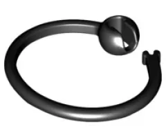 Bag Tag Ring