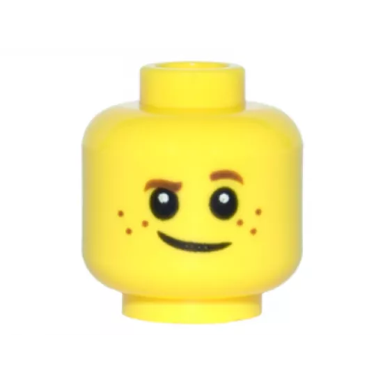Minifigure, Head Child Brown Eyebrows, Raised Left Eyebrow, Freckles, White Pupils, Crooked Smile Pattern