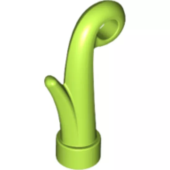 Plant Grass Stem