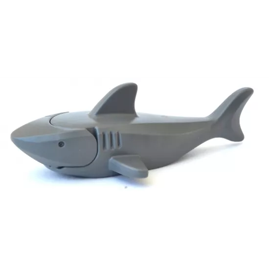 Shark with Gills