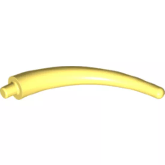 Animal, Body Part Dinosaur Tail End Section / Horn