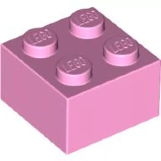 Brick 2 x 2
