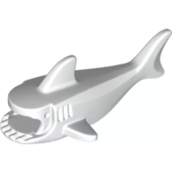 Animal, Body Part Shark Middle with Gills