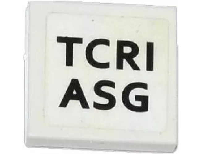 Tile 2 x 2 with 'TCRI' and 'ASG' Pattern (Sticker) - Set 79104