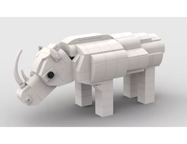 White Rhino