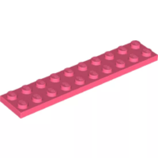 Plate 2 x 10